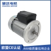 厂家出售 微型铝壳单相电机 YY7134-B5单相电容运转异步电动机