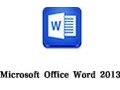 Microsoft Office Word 2013 中文版